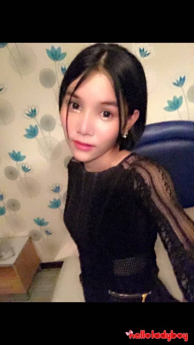 Raven-haired ladyboy posing in her cute outfits in her compilation  