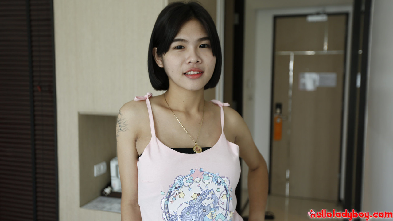 21 yr old shy Thai shemale sucks off tourists cock